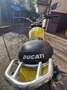 Ducati Scrambler Giallo - thumbnail 7