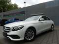 Mercedes-Benz E 220 d Limousine AVANTGARDE LED/KAM/TOTWIN/17" Wit - thumbnail 2