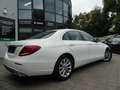Mercedes-Benz E 220 d Limousine AVANTGARDE LED/KAM/TOTWIN/17" Weiß - thumbnail 22