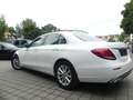 Mercedes-Benz E 220 d Limousine AVANTGARDE LED/KAM/TOTWIN/17" Weiß - thumbnail 23