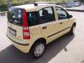 Fiat Panda Panda 1.2 natural power Dynamic Giallo - thumbnail 5