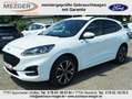 Ford Kuga Plug-In Hybrid ST-Line X Blanc - thumbnail 2