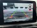 Ford Kuga 2.5 Phev ST-Line X 2WD 225cv CVT Iva Esposta Bianco - thumbnail 10