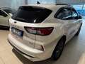 Ford Kuga 2.5 Phev ST-Line X 2WD 225cv CVT Iva Esposta Bianco - thumbnail 6