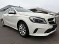 Mercedes-Benz A 180 BlueEfficiency*Temp*Lichtpaket* Weiß - thumbnail 7