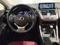 Lexus NX 300 300h Luxury 4WD Piros - thumbnail 9