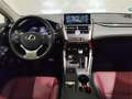 Lexus NX 300 300h Luxury 4WD crvena - thumbnail 8