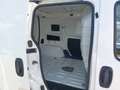 Fiat Fiorino 1,4 Benzin SX Weiß - thumbnail 11