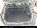 Kia Ceed SW / cee'd SW CEEDSW/TITAN/1.0 TGDI/MT6/100/P1 Schwarz - thumbnail 14