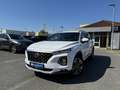 Hyundai SANTA FE 2.2 CRDi Premium 4WD LED AHK 360° Weiß - thumbnail 1