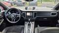 Porsche Macan AWD/PANORAMA/APPLECARPLAY/BI-XENON/SOUND Gris - thumbnail 9