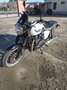 Triumph Bonneville SE 986MF Wit - thumbnail 1