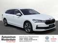 Skoda Superb Combi Selection 1,5 TSI Preisknaller ! sofort lie Gris - thumbnail 3