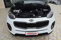 Kia Sportage 1.7 CRDI Cool Cv115 2wd - Navy/R.Cam/Unica P. Bianco - thumbnail 15