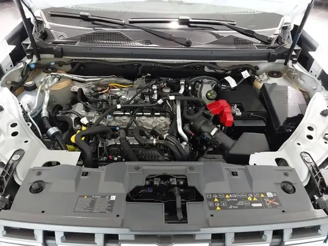Dacia Duster view 25