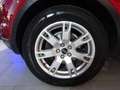 Land Rover Range Rover Evoque 2.2 td4 Dynamic 150cv''TETTO PANORAMICO'' Rosso - thumbnail 5