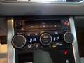 Land Rover Range Rover Evoque 2.2 td4 Dynamic 150cv''TETTO PANORAMICO'' Rosso - thumbnail 10