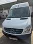 Mercedes-Benz Sprinter 313 CDI Sprinter 906.735 Blanc - thumbnail 2