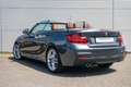 BMW 230 2 Serie Cabrio 230i High Executive M Sport Automaa Grijs - thumbnail 37