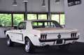 Ford Mustang GT 302 ! Echter J-Code (5.0 V8) ! Baujahr 1968 ! White - thumbnail 2