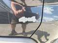 Dacia Duster Duster Blue dCi 115 4WD Journey Grau - thumbnail 14