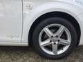 SEAT Leon 1.2 TSI Ecomotive Reference **CLIMA-COPA-CRUISECTR Wit - thumbnail 19