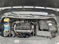Volkswagen Caddy Maxi 1.9TDI Life DSG - thumbnail 12