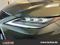 Lexus RX 450h AWD STYLE EDITION*PANORAMA*CARPLAY Zielony - thumbnail 6