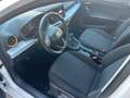 SEAT Ibiza 1.0 MPI 5 porte Reference Bianco - thumbnail 9