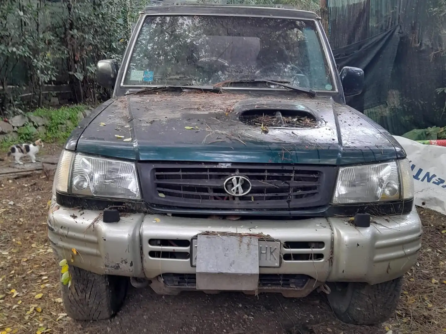 Hyundai Galloper Galloper 5p 2.5 tdi Comfort Verde - 2