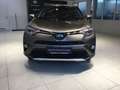 Toyota RAV 4 Lounge 4WD Braun - thumbnail 2