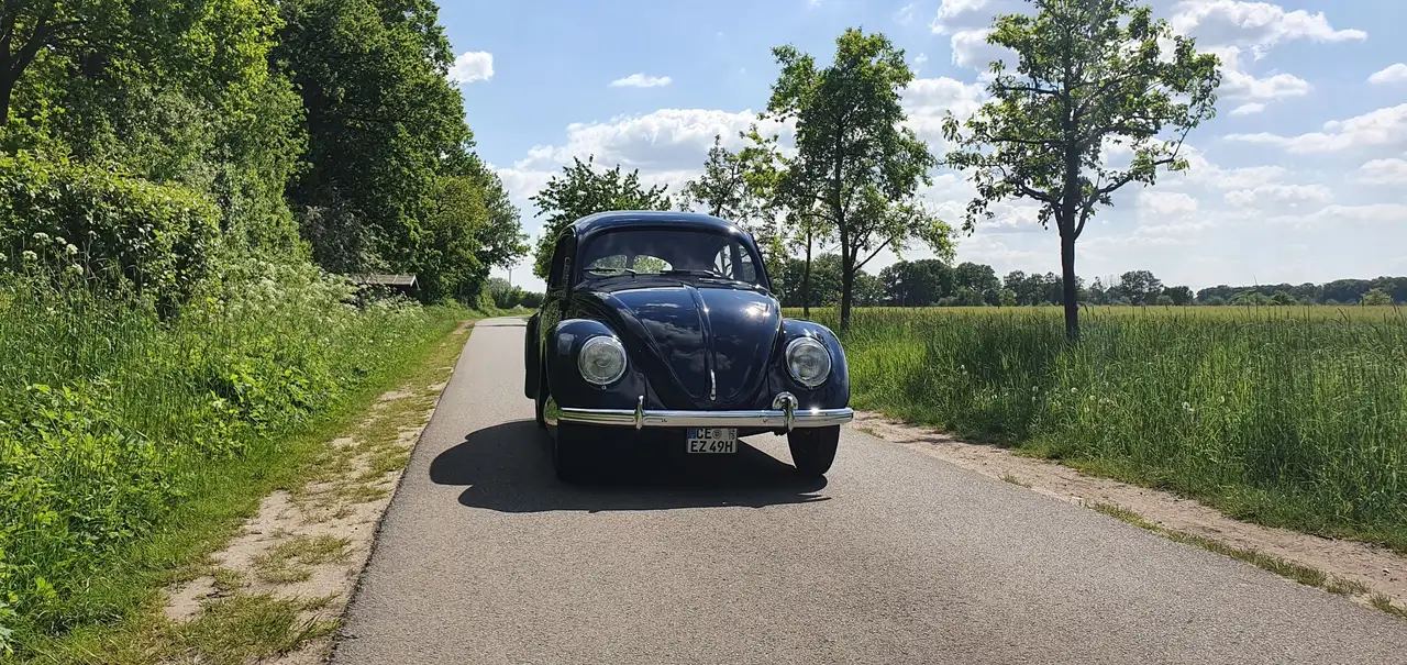 Volkswagen Käfer Brezelkäfer Standard, foto 3