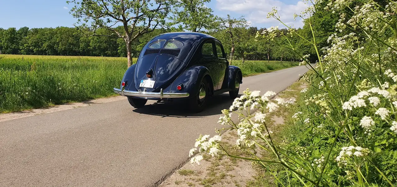 Volkswagen Käfer Brezelkäfer Standard, foto 6