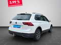 Volkswagen Tiguan Life 2.0 TDI DSG AHK KAMERA NAVI ACC Weiß - thumbnail 3