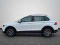 Volkswagen Tiguan Life 2.0 TDI DSG AHK KAMERA NAVI ACC Weiß - thumbnail 8