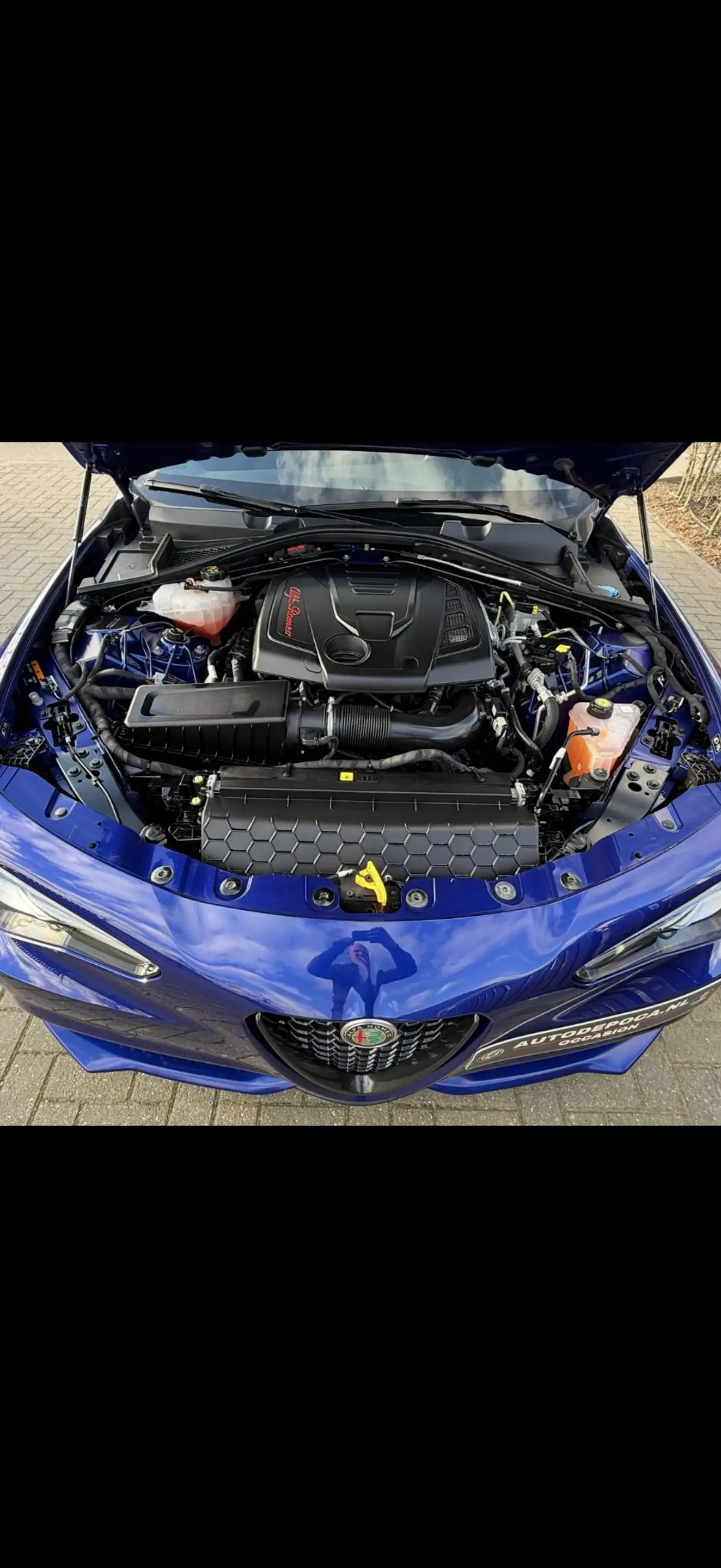 Alfa Romeo Giulia 2.0 T Veloce Instelbare Schokdempers en LSD!! Raga — photo 15