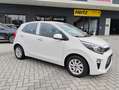 Kia Picanto Picanto 1.0 Cool Bianco - thumbnail 2