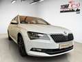 Skoda Superb 2.0 TDI Style 4x4 XEN*AHK*MEMORY*SMARTLINK Weiß - thumbnail 6