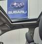 Subaru Forester 2.0ie EDITION EXCLUSIVE CROSS*MJ24* Blau - thumbnail 23