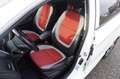 Kia Picanto 1.2 CVVT 85 PK ISG 5D Super Pack Sport Clima Weiß - thumbnail 13