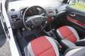 Kia Picanto 1.2 CVVT 85 PK ISG 5D Super Pack Sport Clima Weiß - thumbnail 5