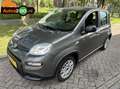 Fiat Panda 1.0 Hybrid I Airco I Blue tooth I rijklaar I Grau - thumbnail 1