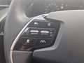 Kia e-Niro EV Light Advanced 64.8 kWh Grau - thumbnail 11