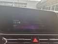 Kia e-Niro EV Light Advanced 64.8 kWh Grau - thumbnail 18