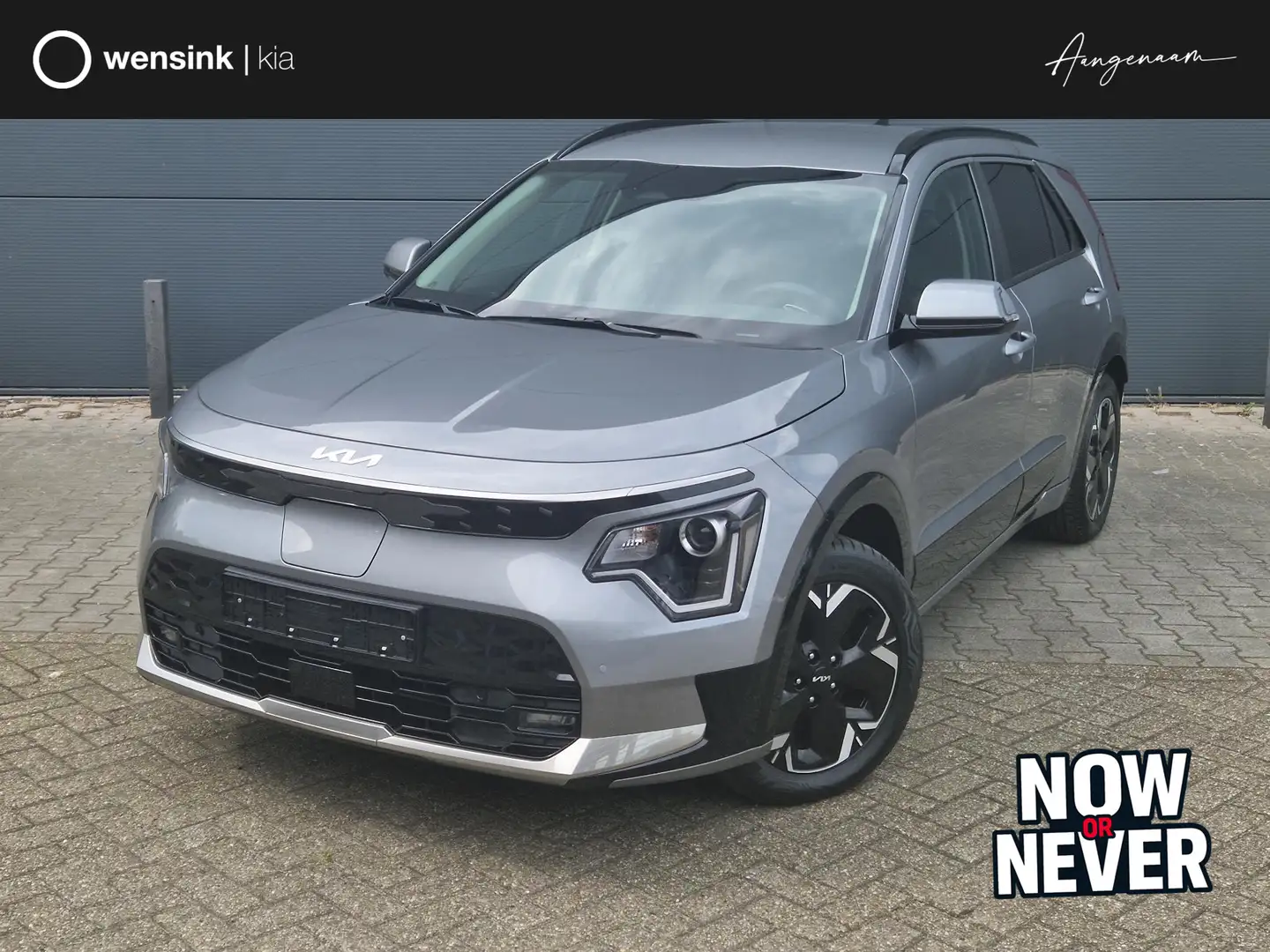Kia e-Niro EV Light Advanced 64.8 kWh Grau - 1