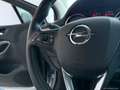 Opel Astra 1.6 CDTi 110 CV S&S ST Bus. Prem. Blu/Azzurro - thumbnail 12