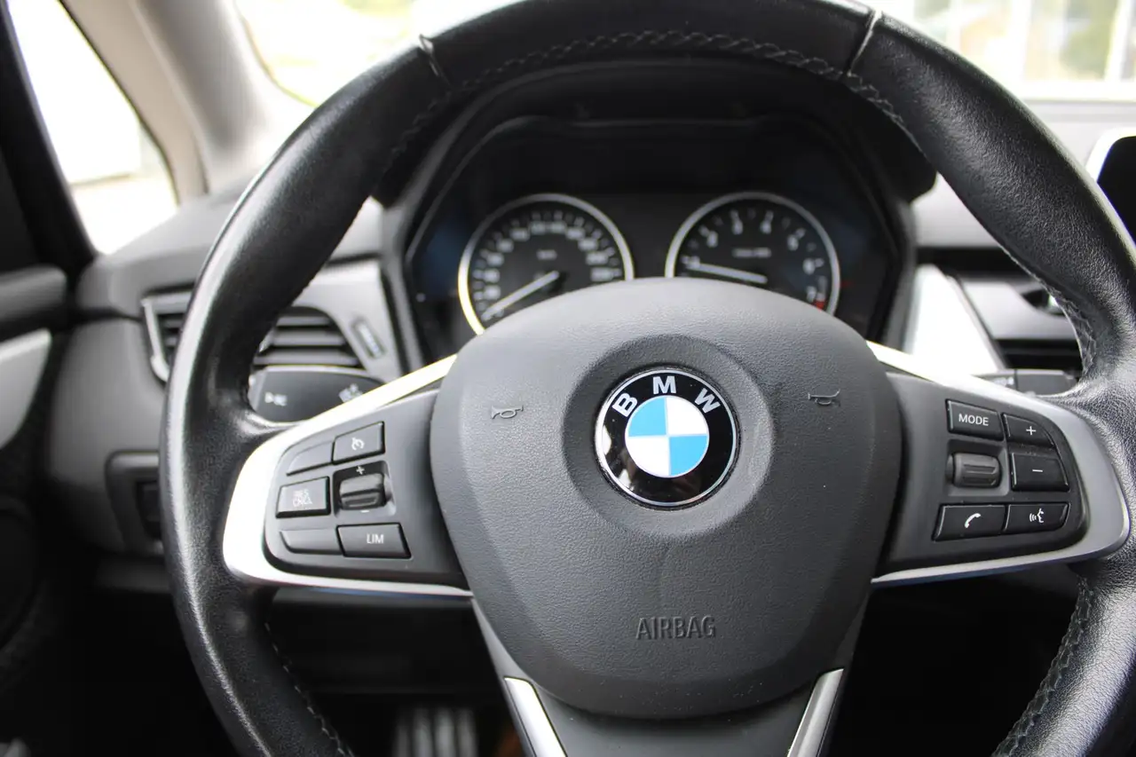 BMW 220 i Advantage Autom AHK NAV PDC SH 14