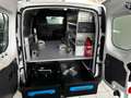 Renault Kangoo Kasten *Werkstatt-Regale-Sortimo* Weiß - thumbnail 2