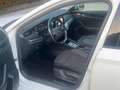 Skoda Octavia 2.0 TDI EVO SCR 150 CV DSG Wagon Style Blanc - thumbnail 12