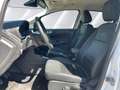 Ford EcoSport 1.0 EcoBoost ''Active'' Xenon AHK Rückfahrkamera N Weiß - thumbnail 11
